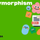 Polymorphism